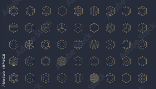 Hexagon vector design elements. Template for logo.