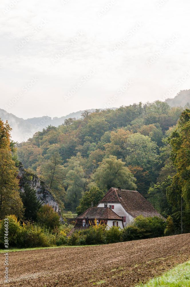 Arlesheim, Ermitage, Wald, Wanderweg, Schloss Birseck, Burg, Landwirtschaft, Nebel, Herbstfarben, Herbst, Baselland, Schweiz