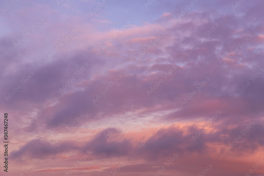 Dramatic soft sunrise, sunset pink violet blue sky with clouds background texture	