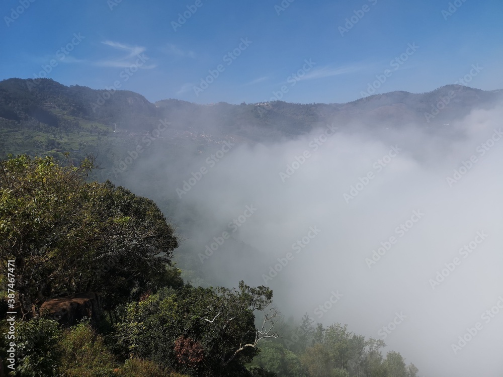 Misty morning in the Dolphin nose view point ,Coonoor,Tamilnadu Misty morning in the Dolphin nose view point ,Coonoor,Tamilnadu