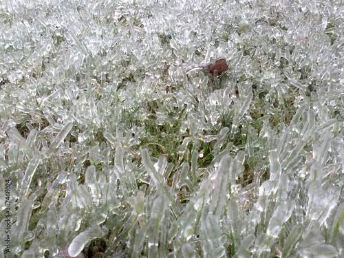 water drops on a grass