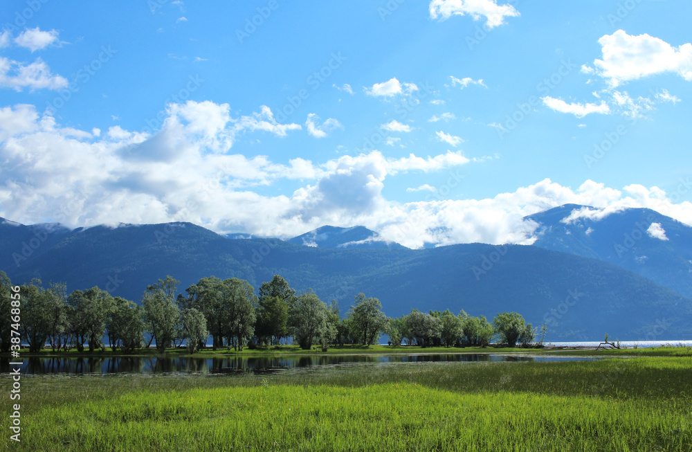 Flooded Altai meadows against the backdrop of Lake Teletskoye and green hills