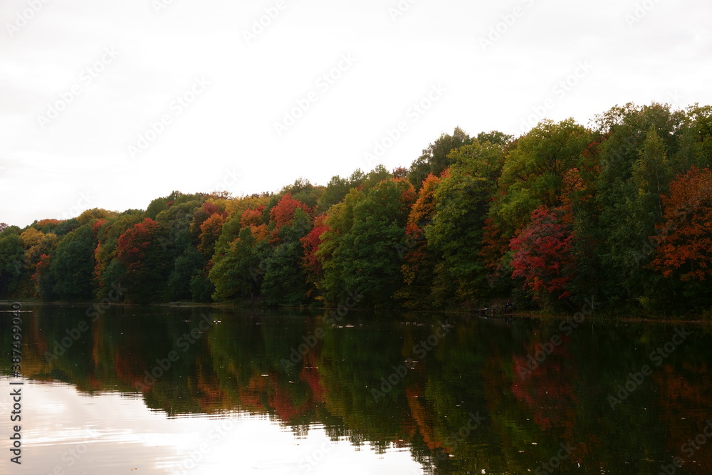 Autumn trees on the lake in Shchelkovo farm Autumn trees on the lake in Shchelkovo farm