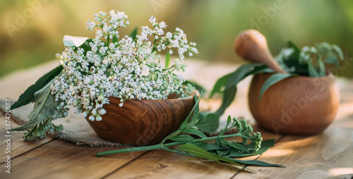 Fresh valerian flowers in wooden plate on table. mortar with prepared potion of valerian root. use of medicinal plants in traditional medicine.