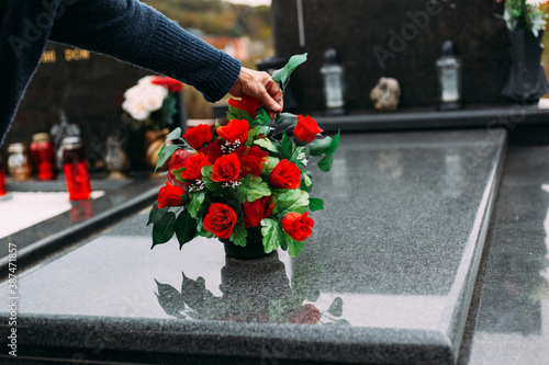 Fotografie, Obraz Old woman laying down bouquet of artificial flower on a grave