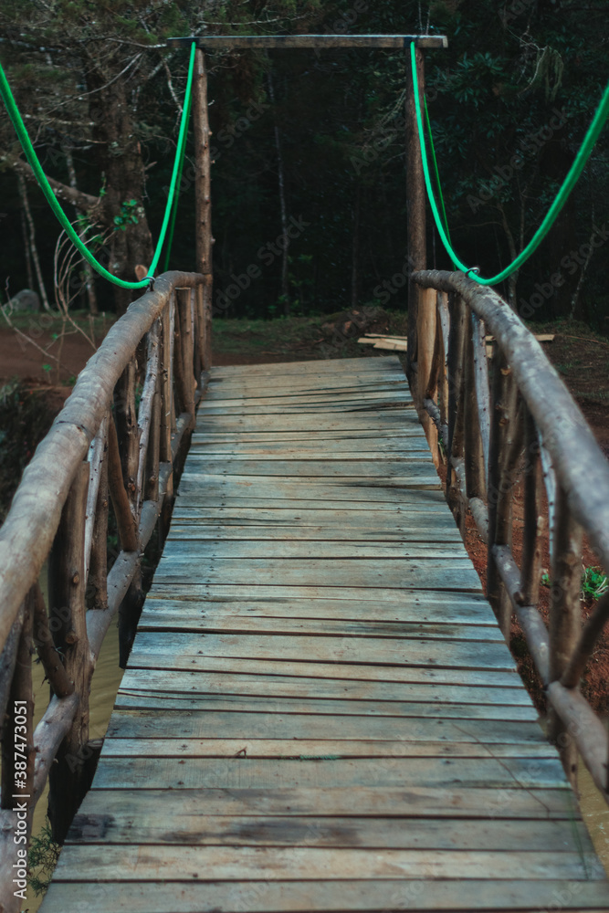 Fototapeta premium Vertical shot of a wooden bridge