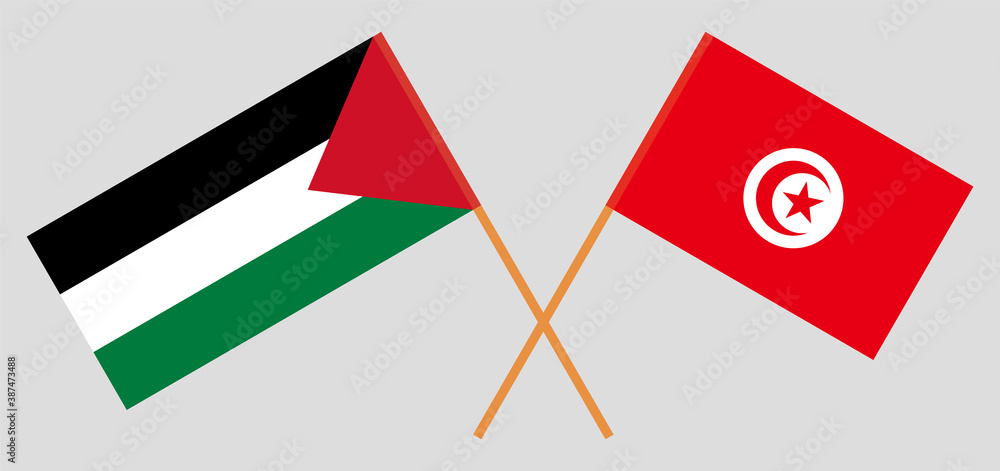 Crossed flags of Tunisia and Palestine Crossed flags of Tunisia and Palestine