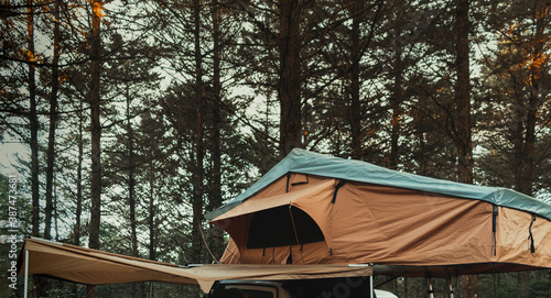 Shot of a camping tent in a forest © Jordi 34