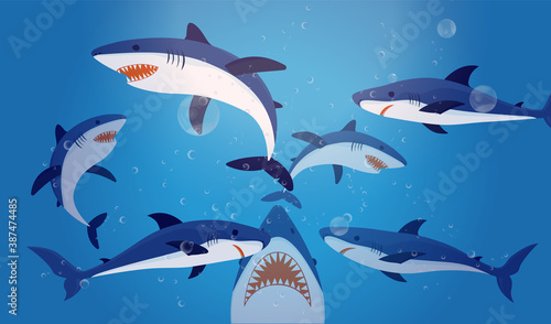 Sharks vector illustration - collection of sharks swimming under water.