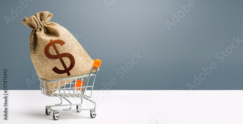 Dollar money bag on a shopping cart. Profits and super profits. Loans and microloans. Minimum living wage. Consumer basket. Business and trade concept. Public procurement, budgeting. Economic bubbles photo