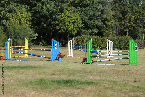  Obstacles poles  barriers for jumping horses as a background
