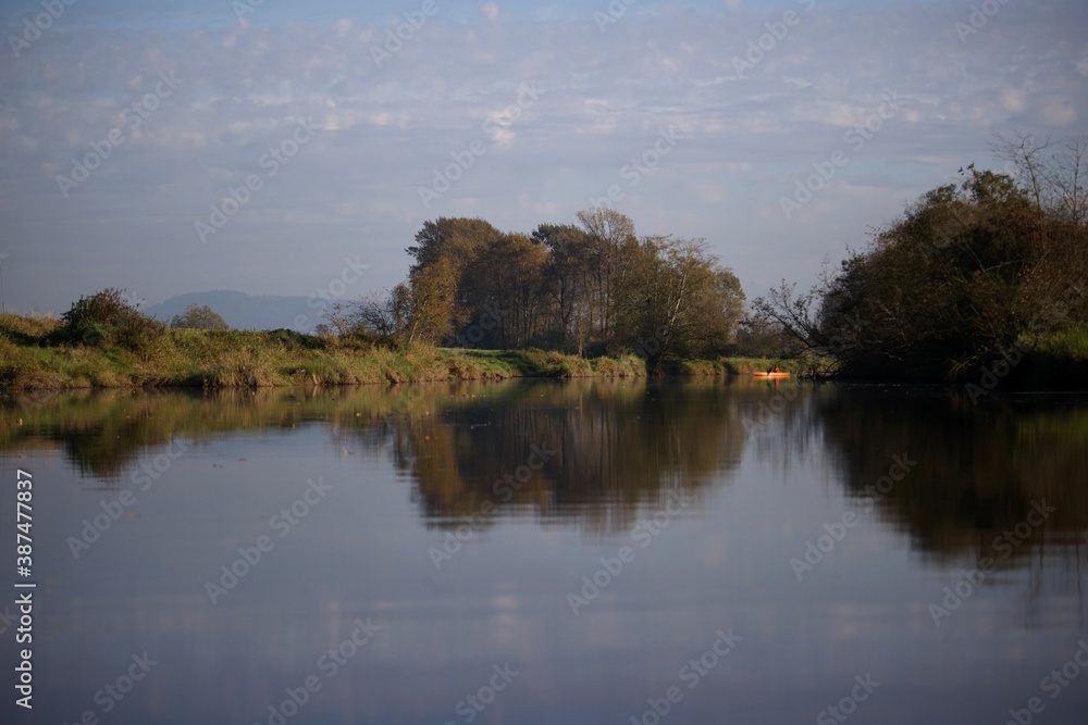 reflection of trees in water