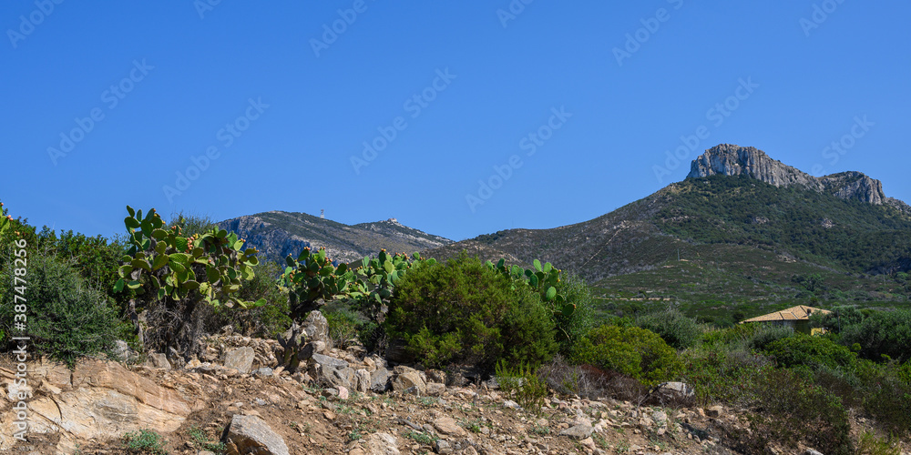 Panorama of trees and mountains against the blue sky in Sardinia. Copy space