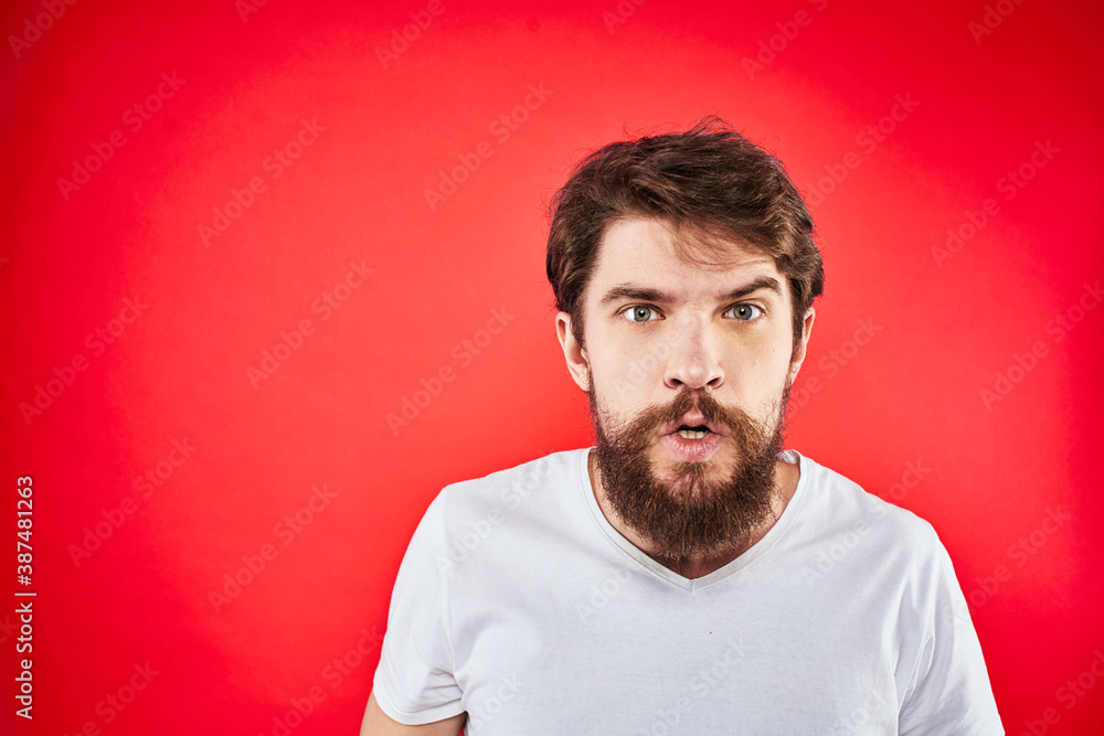 bearded man gesturing with hands white t-shirt emotions facial expression aggression red isolated background bearded man gesturing with hands white t-shirt emotions facial expression aggression red isolated background
