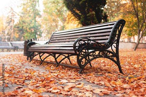 Empty bench in an autumn park covered with fallen leaves.