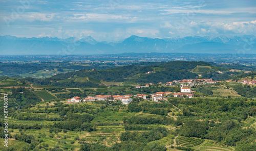 Plakat Goriška Brda Landscape