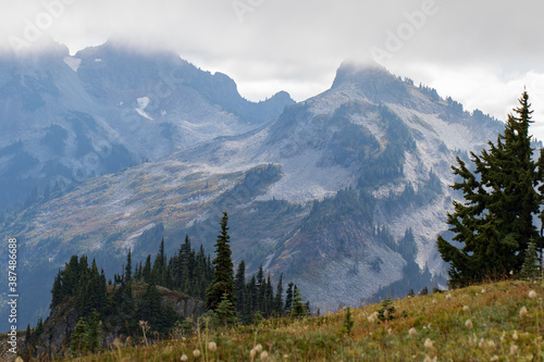 Mount Rainier © Sanderling Pictures