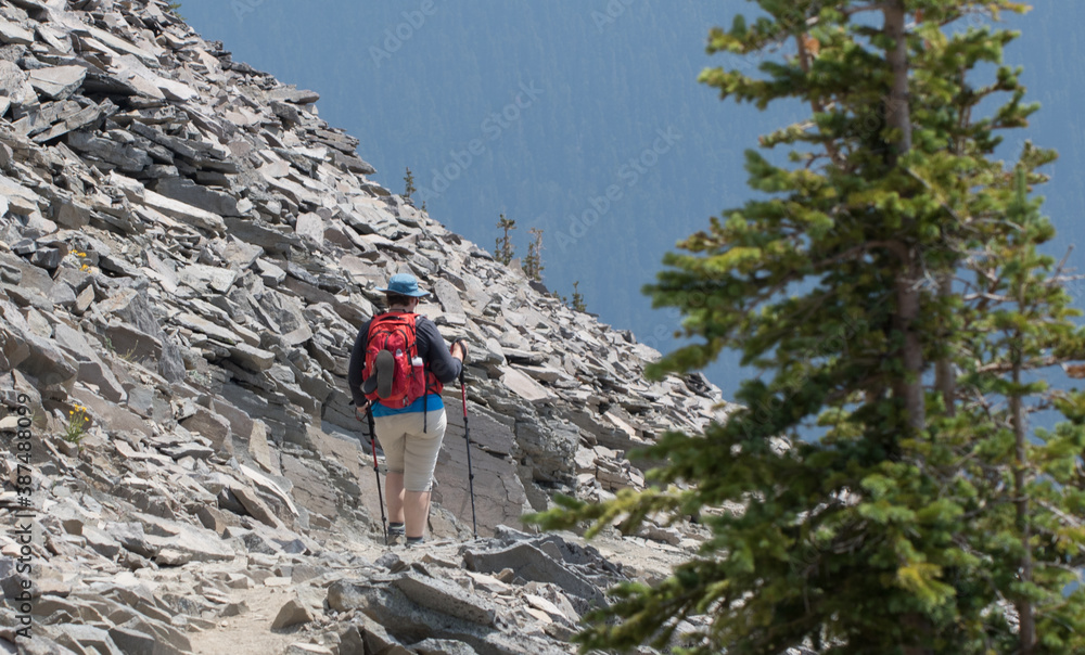 Hiking in Pacific Northwest