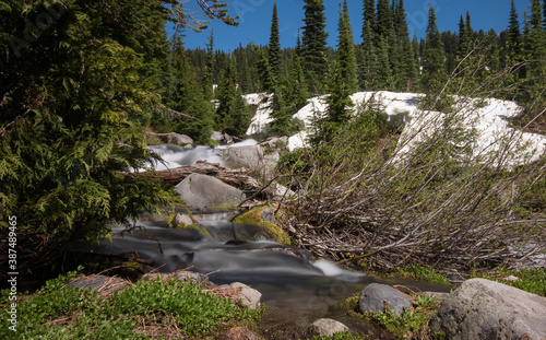 Mount Rainier