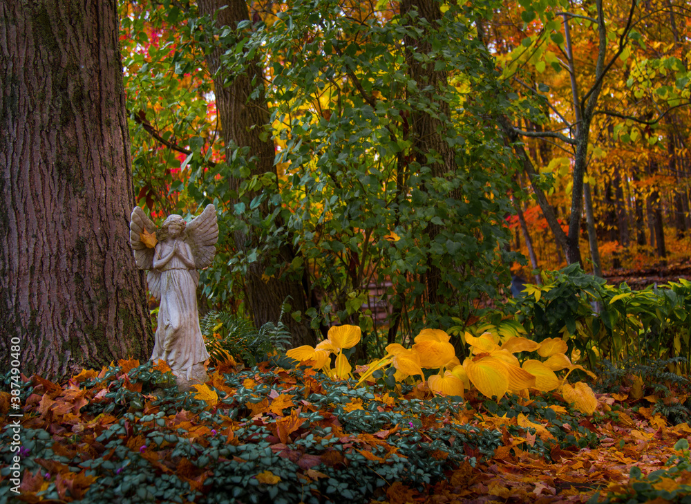 Fototapeta premium autumn hosta leaves on the ground with angel statue