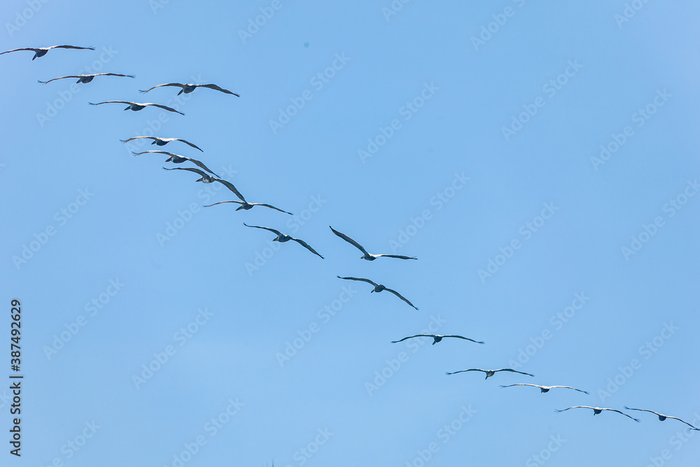 The overwhelming beauty of the flora and fauna of Costa Rica. Photos taken during a tour through this beautiful country,
The overwhelming beauty of the flora and fauna of Costa Rica. Photos taken during a tour through this beautiful country,
