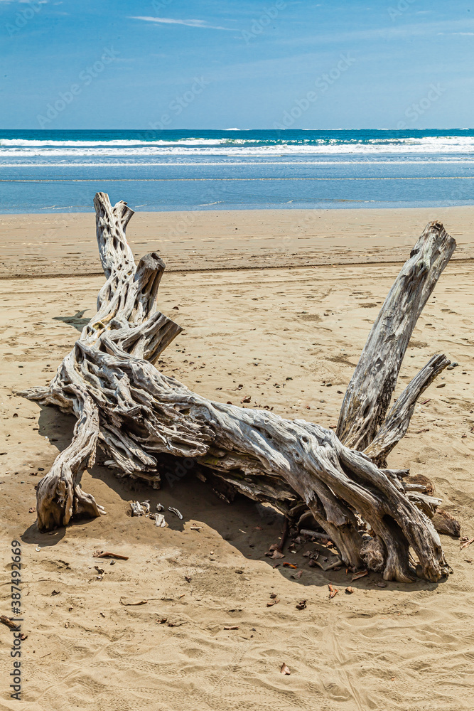 The overwhelming beauty of the flora and fauna of Costa Rica. Photos taken during a tour through this beautiful country,
