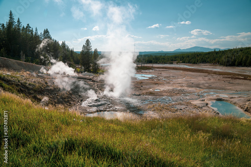Daytime sunshine view of Ledge Geyser in the Norris Geyser Basin in Yellowstone National Park