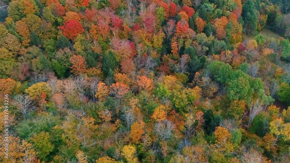 Aerial view of mountain with Autumn foliage Aerial view of mountain with Autumn foliage