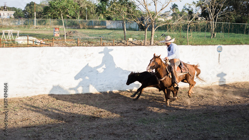 Mexican Charro show in a arena in Poza Rica Veracruz © Alex Wolf 