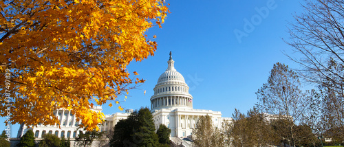 Capitol Building grounds on sunny day. Autumn colors of maple tree contrast with blue skies. © avmedved