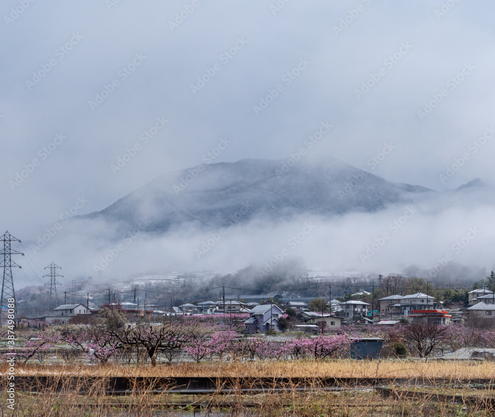 Frosty scenery in the Japanese countryside in Winter