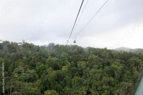 キュランダの熱帯雨林