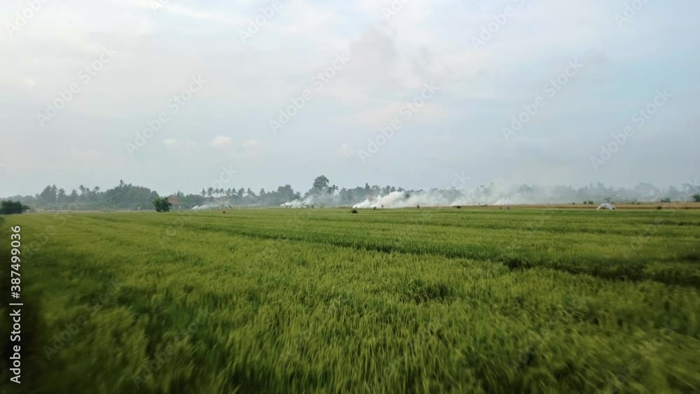 drone view of a newly constructed electric transmission tower on a green rice field drone view of a newly constructed electric transmission tower on a green rice field
