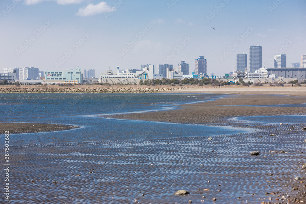 Naklejka premium 葛西海浜公園の西なぎさ