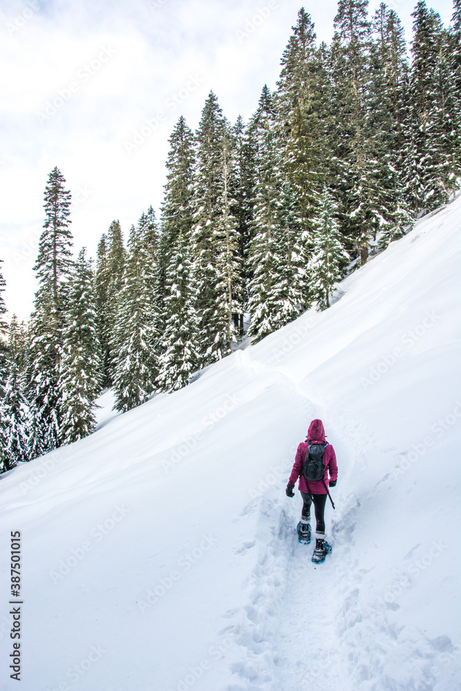 Winter sport activity. Adventurous woman snowshoeing through the forest in deep snow.
