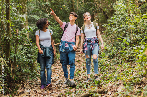Hikers on a trail in the jungle. A group of tourists walking in the jungle. Concept of tourism and nature.