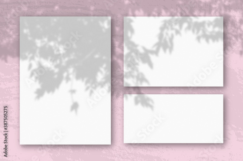 Several horizontal and vertical sheets of white textured paper against a pink wall background. Mockup with an overlay of plant shadows. Natural light casts shadows from a branch of Apple