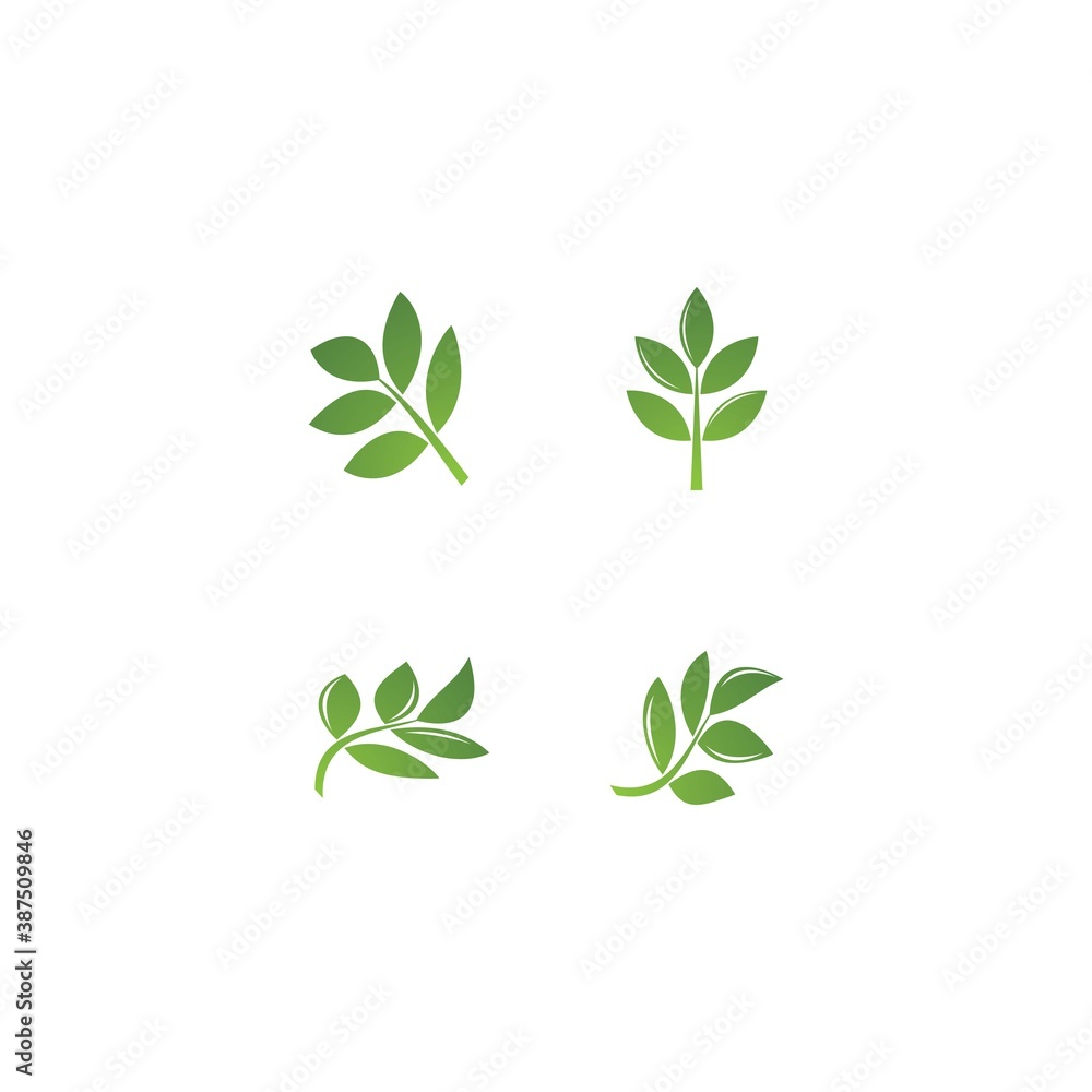 leaf vector logo icon leaf vector logo icon