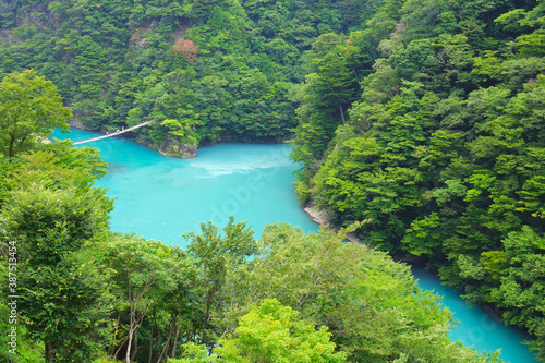 Suspension bridge at Sumatakyo Canyon, Shizuoka Pref., Japan	
 photo