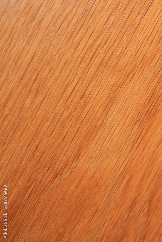 Old retro wooden door surface macro background fine modern art high quality prints products fifty megapixels Old retro wooden door surface macro background fine modern art high quality prints products fifty megapixels