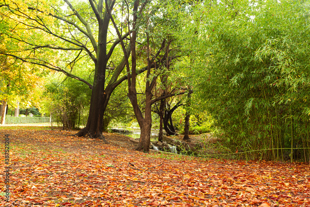 the parks are painted with the colors of autumn the parks are painted with the colors of autumn