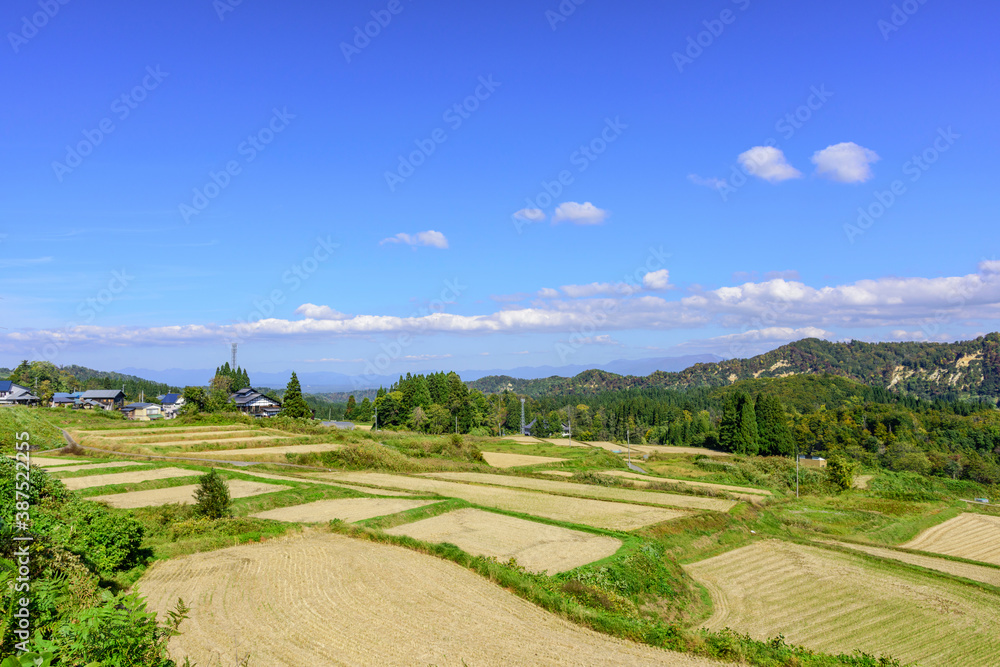 秋 山形県 大蔵村の棚田 秋 山形県 大蔵村の棚田