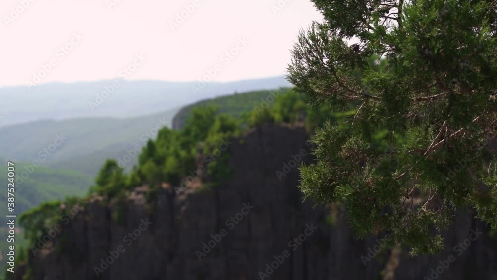 Wonderful high old mountains with steep cliffs and lush green coniferous forest on tops against calm valley and clear sky and thuja branches on foreground on summer day. Wonderful high old mountains with steep cliffs and lush green coniferous forest on tops against calm valley and clear sky and thuja branches on foreground on summer day.