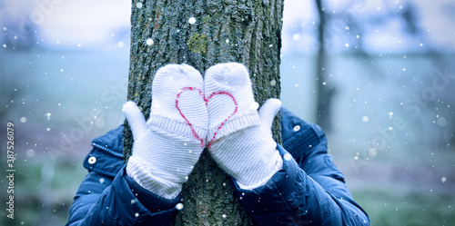 Winter im Wald