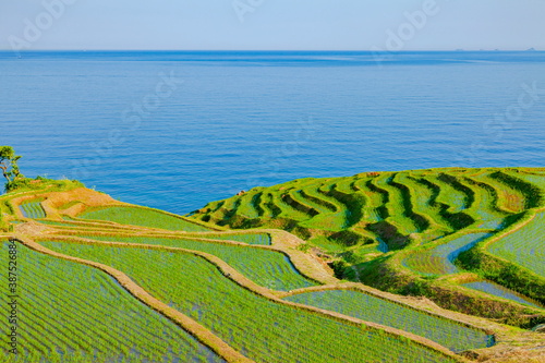 能登半島の白米千枚田　石川県輪島市白米町にて