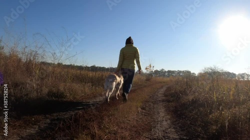 Wallpaper Mural Young woman walking with golgen retriever dog outdoors, aerial shoot Torontodigital.ca