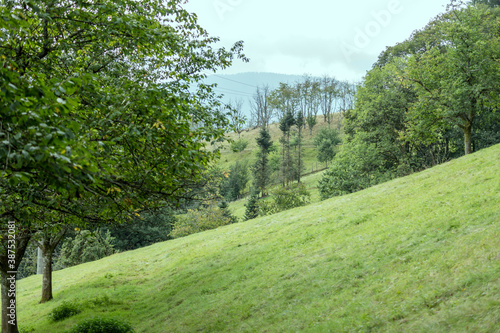 green slope in valley among woods near Ibach, Black Forest, Germany photo