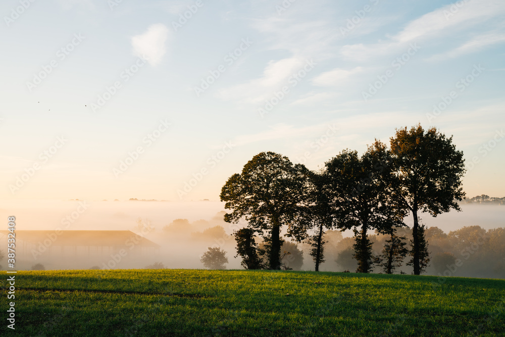 Obraz premium La brume matinale dans la campagne française