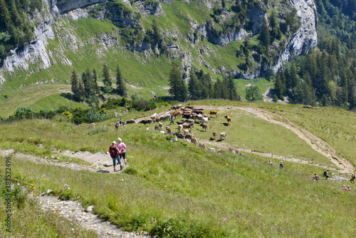 Hoher Kasten Appenzeller Alpen