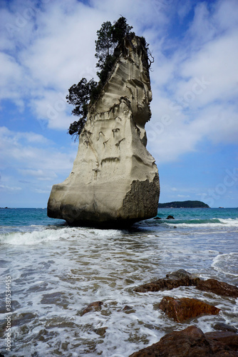 Cathedral cove is unique limestone in Coromandel peninsula in New Zealand